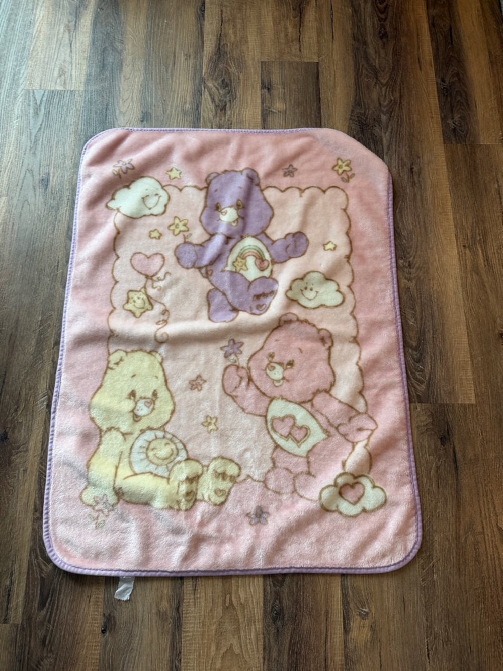 Care Bears Pastel Pink Plush Throw with Multicolor Bears pink